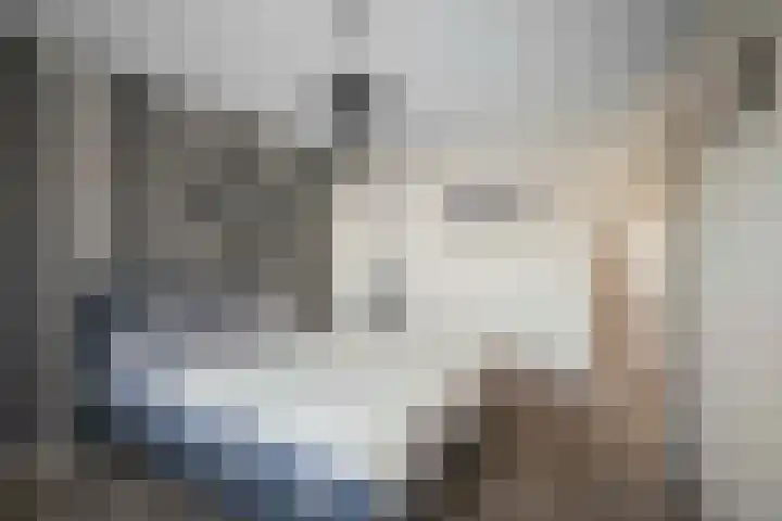 Wichinksweg 47 Lettele thumbnail 15