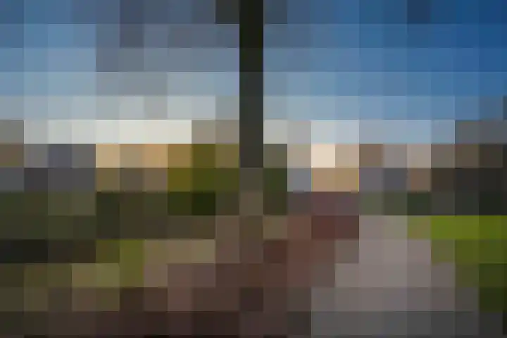 Wichinksweg 47 Lettele thumbnail 31