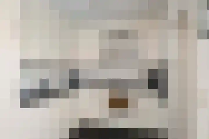 Wichinksweg 47 Lettele thumbnail 9