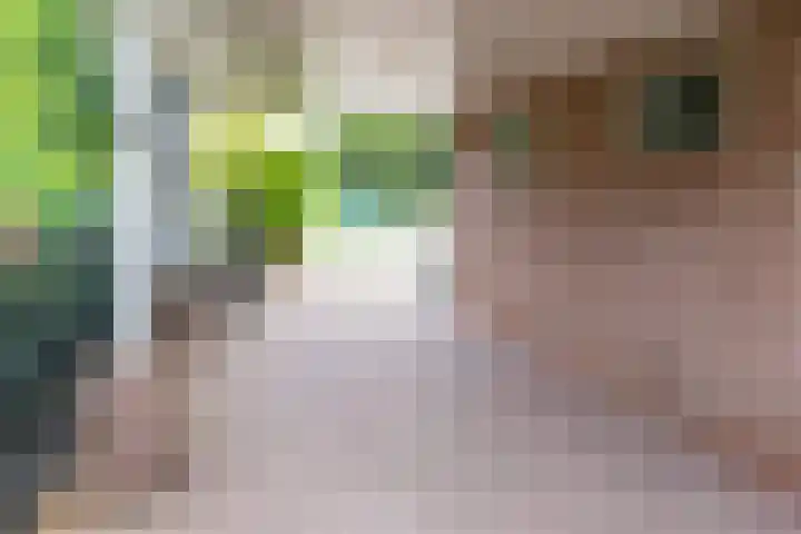 Wichmanlaan 30 Lienden thumbnail 33
