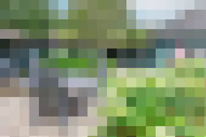 Wichmanlaan 30 Lienden thumbnail 36