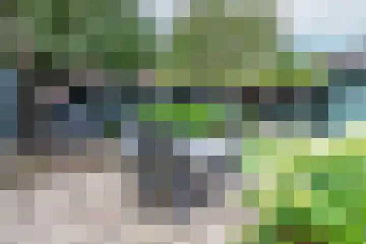 Wichmanlaan 30 Lienden thumbnail 44