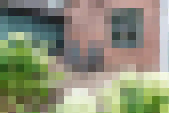 Wichmanlaan 30 Lienden thumbnail 45