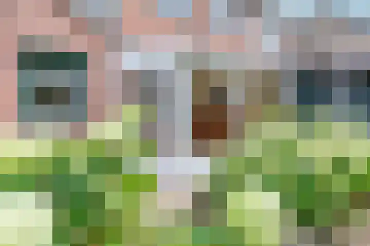 Wichmanlaan 30 Lienden thumbnail 46