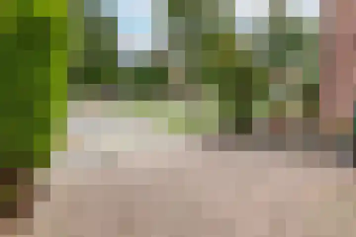 Wichmanlaan 30 Lienden thumbnail 56