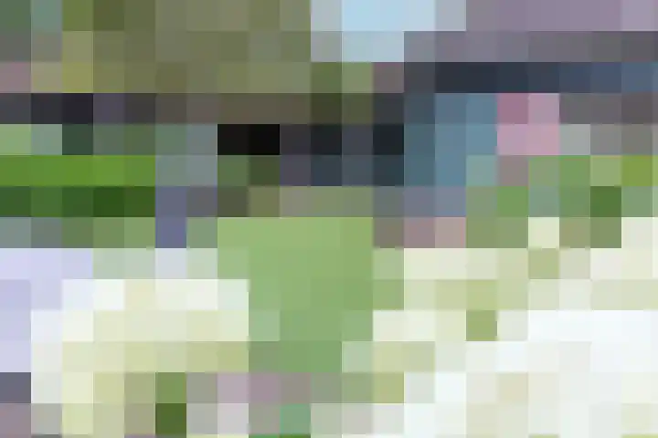 Wichmanlaan 30 Lienden thumbnail 78
