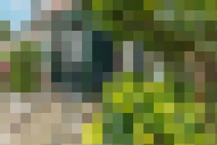 Wichmanlaan 30 Lienden thumbnail 8