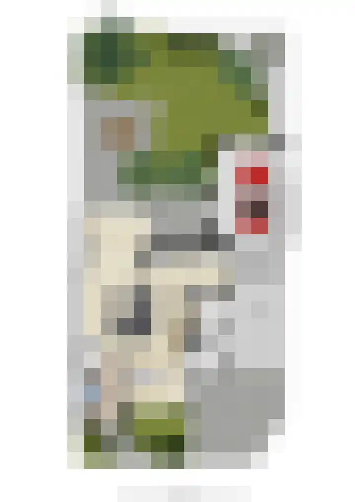 Wichmanlaan 30 Lienden thumbnail 88
