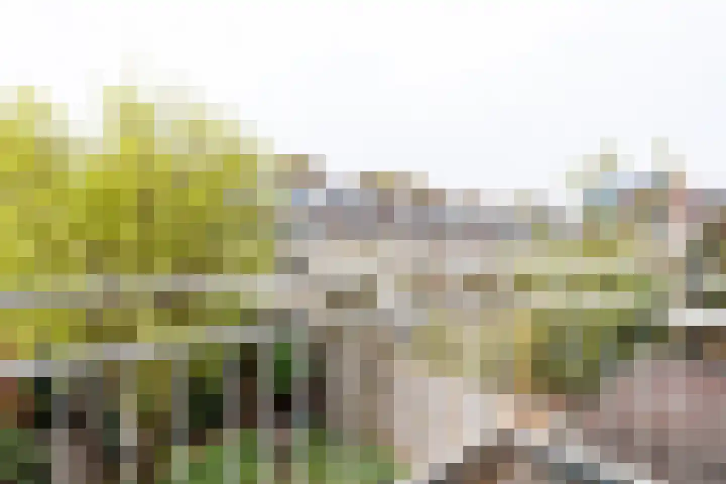 Wichmannlaan 25 Utrecht thumbnail 14