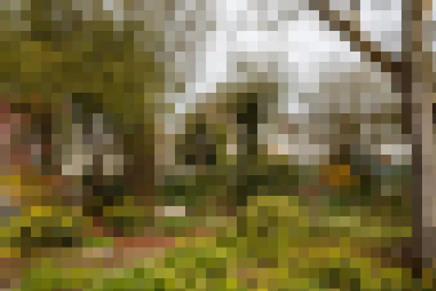 Wichmannlaan 25 Utrecht thumbnail 21