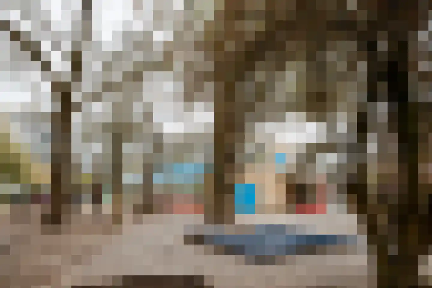 Wichmannlaan 25 Utrecht thumbnail 23