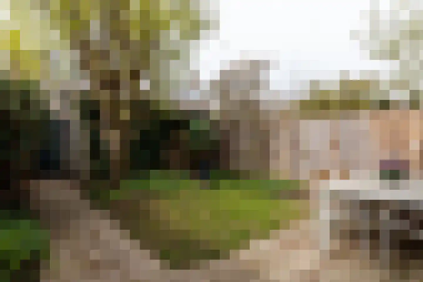 Wichmannlaan 25 Utrecht thumbnail 7
