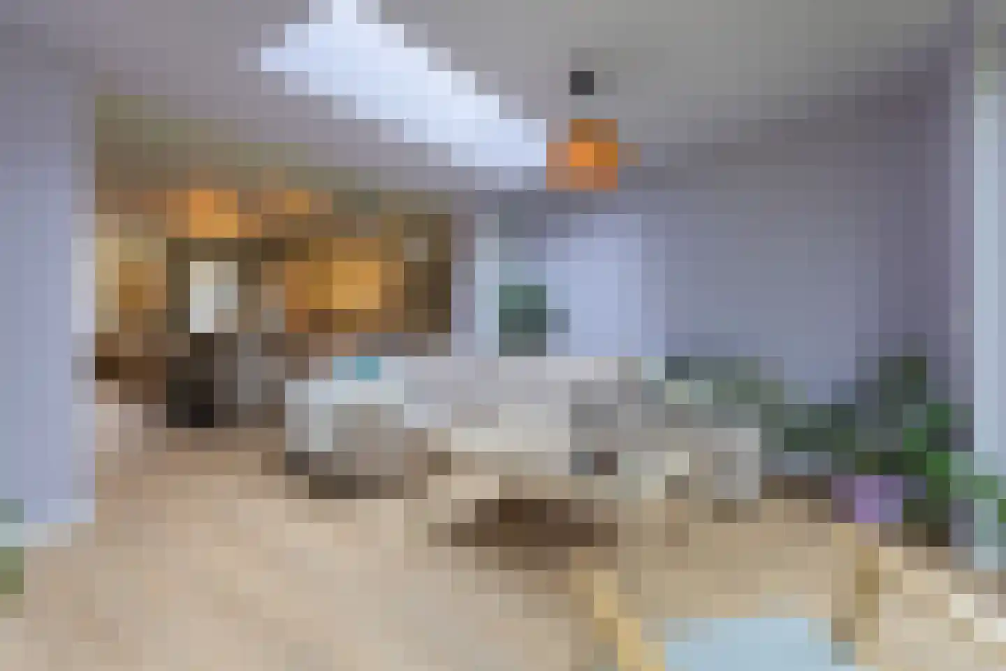 Wichmansstraat 27 Tilburg thumbnail 21