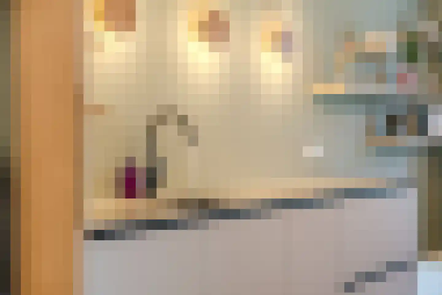 Wichmansstraat 27 Tilburg thumbnail 22
