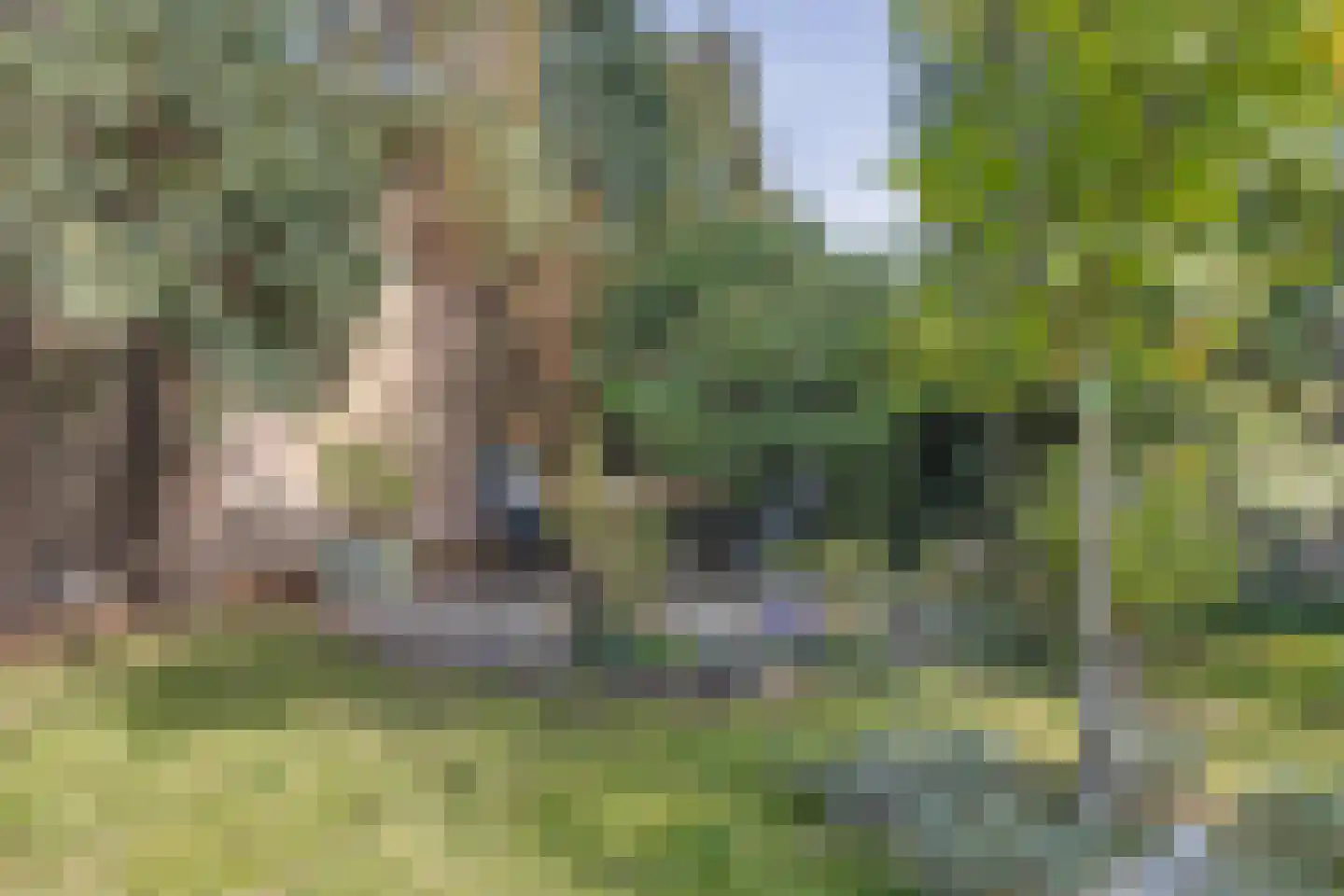 Wichmansstraat 27 Tilburg thumbnail 44