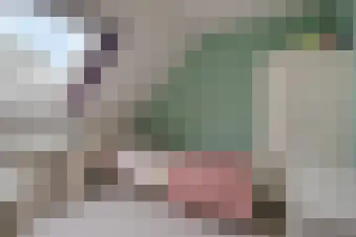 Wichmondseweg 11 E Baak thumbnail 26
