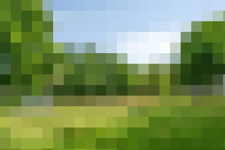 Wickenburg 3 Eindhoven thumbnail 23