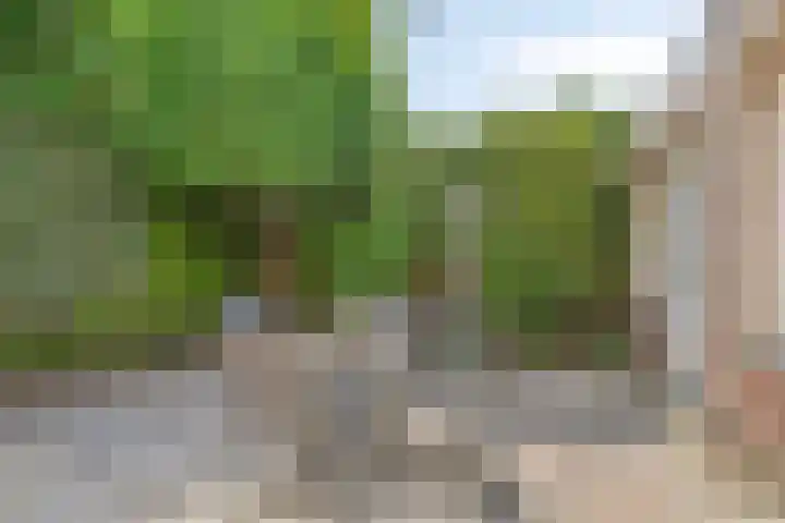 Wickenburg 3 Eindhoven thumbnail 25