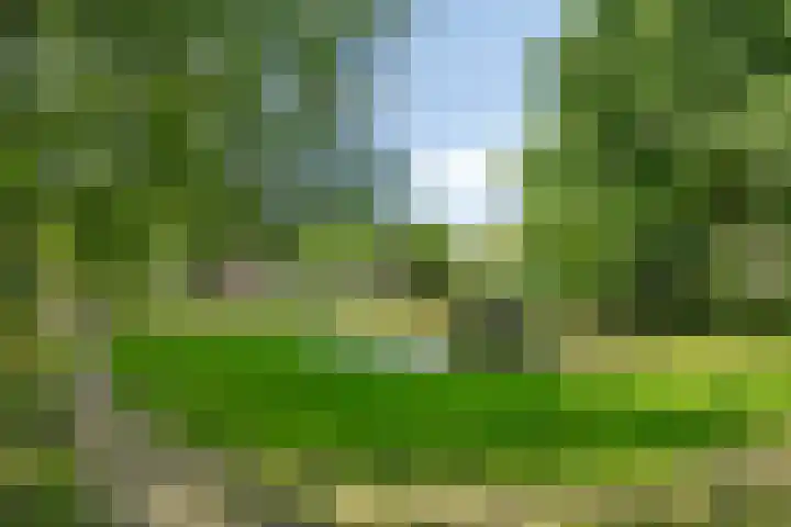 Wickenburg 3 Eindhoven thumbnail 29