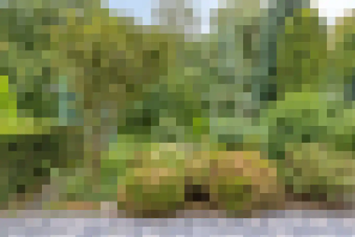 Wickenburg 6 Eindhoven thumbnail 26