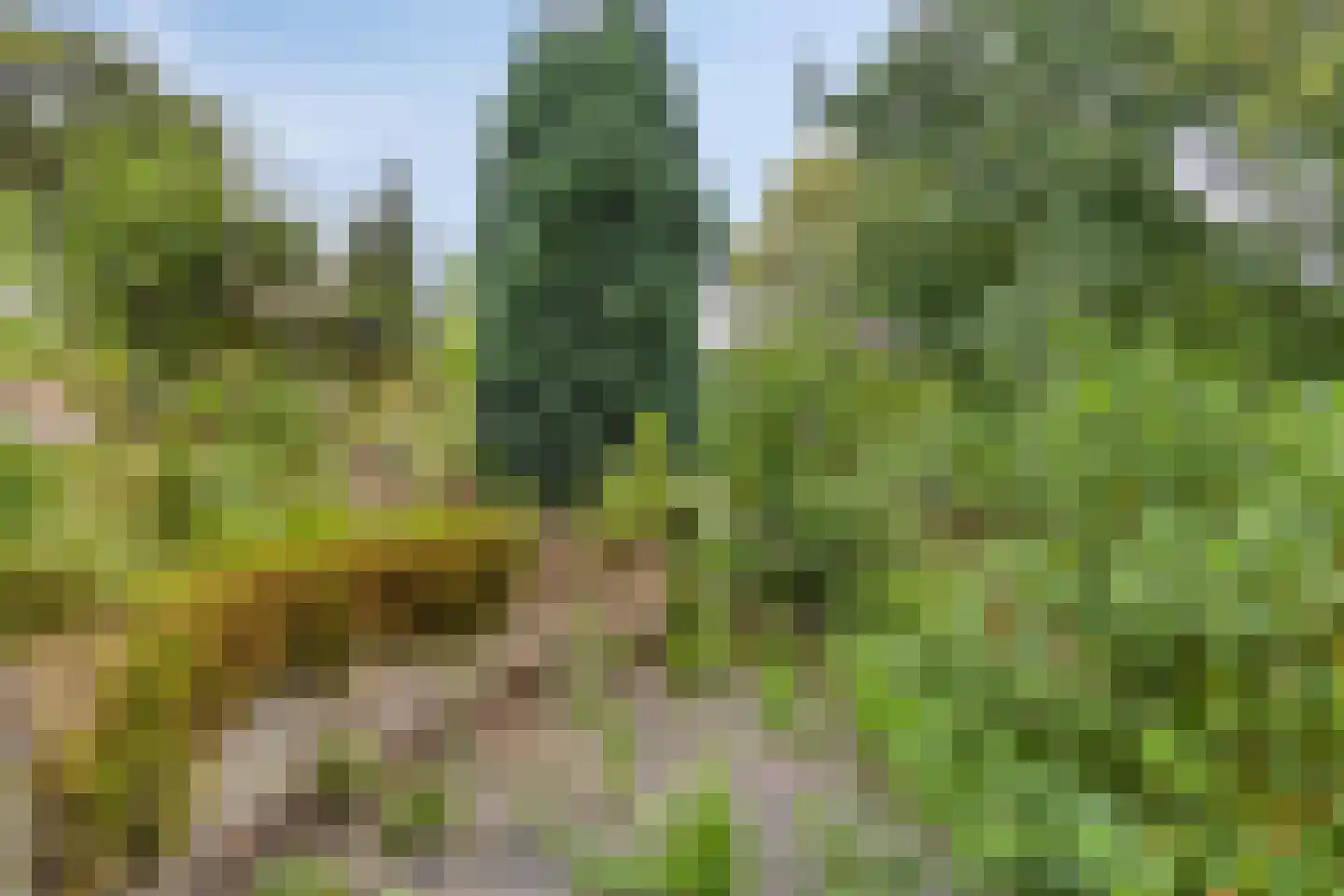 Wickenburg 6 Eindhoven thumbnail 27