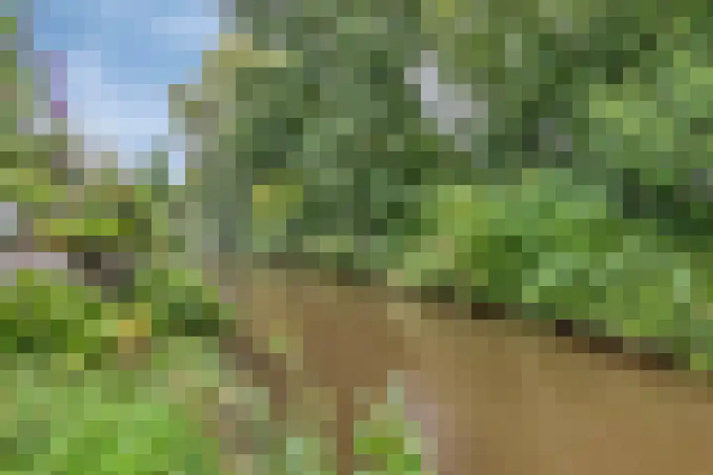 Wickenburg 6 Eindhoven thumbnail 28