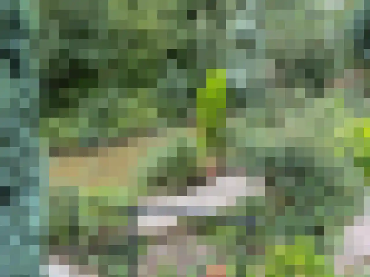 Wickenburg 6 Eindhoven thumbnail 30