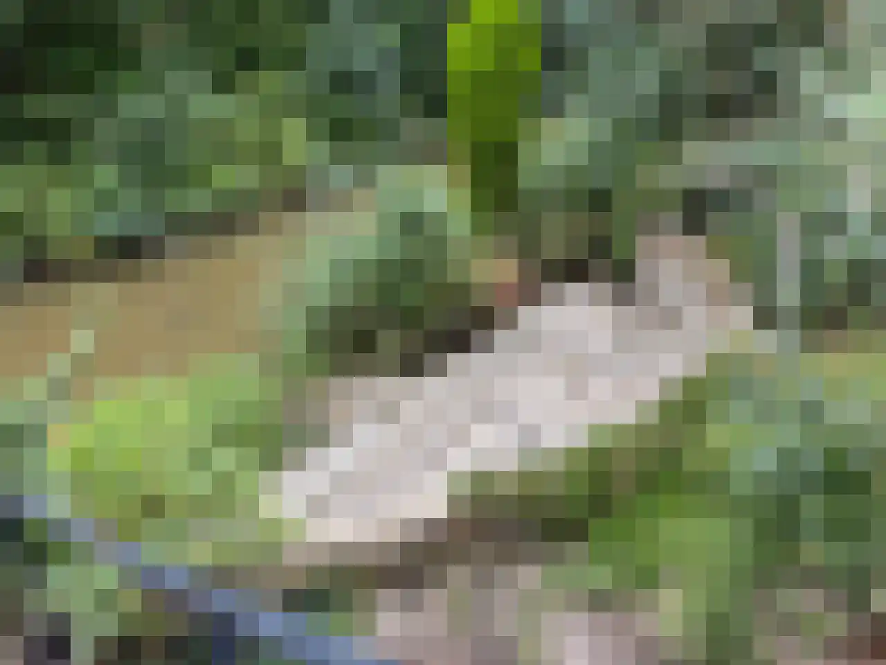 Wickenburg 6 Eindhoven thumbnail 31