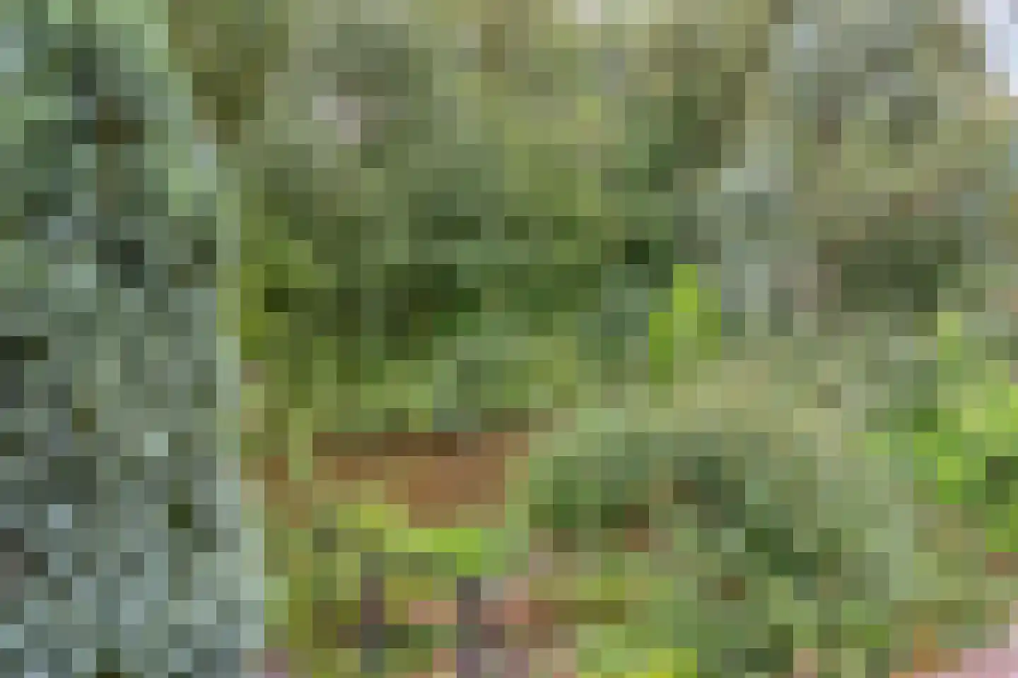 Wickenburg 6 Eindhoven thumbnail 5