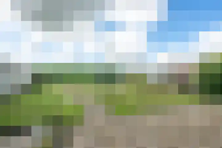Wickenburghseweg 45 't Goy thumbnail 20