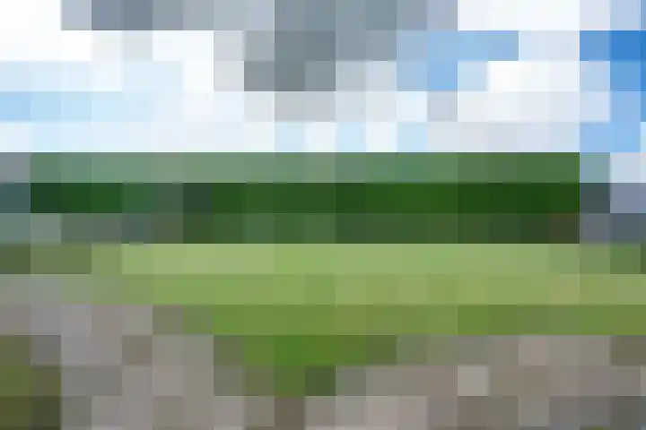 Wickenburghseweg 45 't Goy thumbnail 21