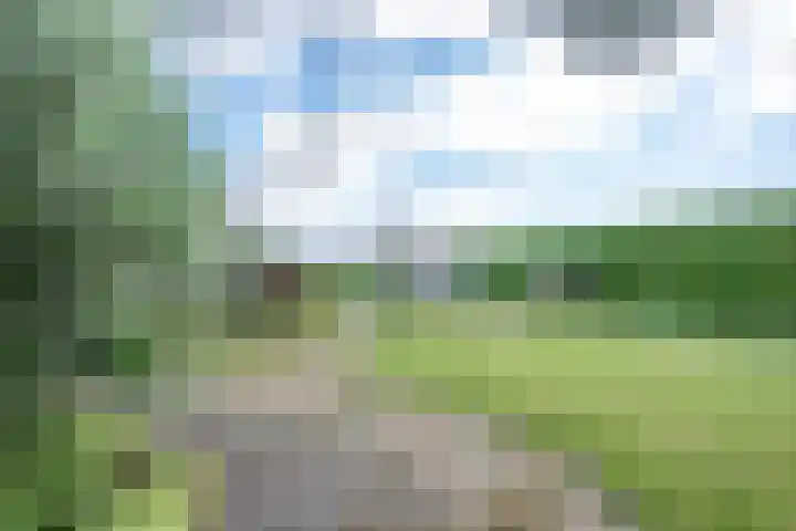 Wickenburghseweg 45 't Goy thumbnail 22