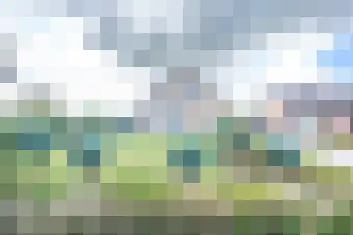 Wickenburghseweg 45 't Goy thumbnail 42