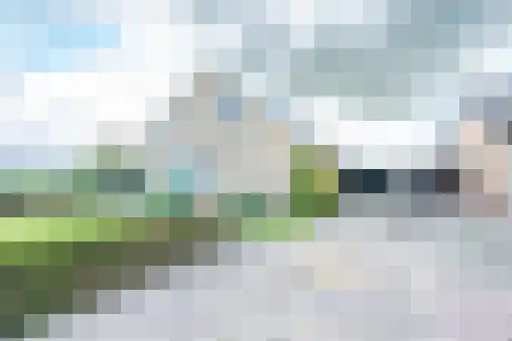 Wickenburghseweg 45 't Goy thumbnail 43