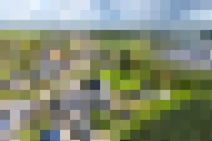 Wickenburghseweg 45 't Goy thumbnail 48