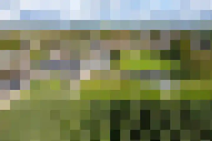 Wickenburghseweg 45 't Goy thumbnail 49