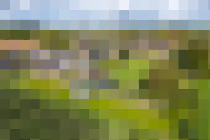 Wickenburghseweg 45 't Goy thumbnail 51