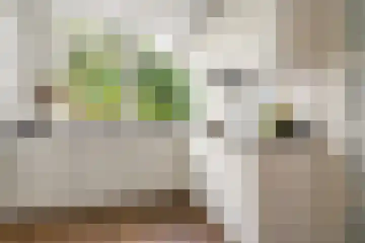 Wickenburglaan 18 Utrecht thumbnail 11