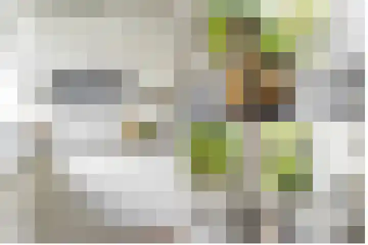 Wickenburglaan 18 Utrecht thumbnail 12
