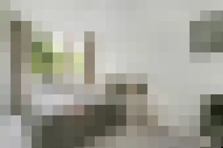 Wickenburglaan 18 Utrecht thumbnail 18