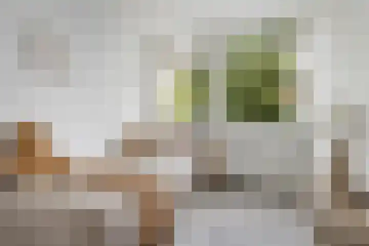 Wickenburglaan 18 Utrecht thumbnail 19