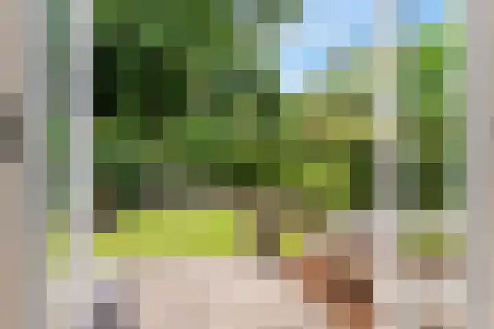 Wickenburglaan 18 Utrecht thumbnail 33