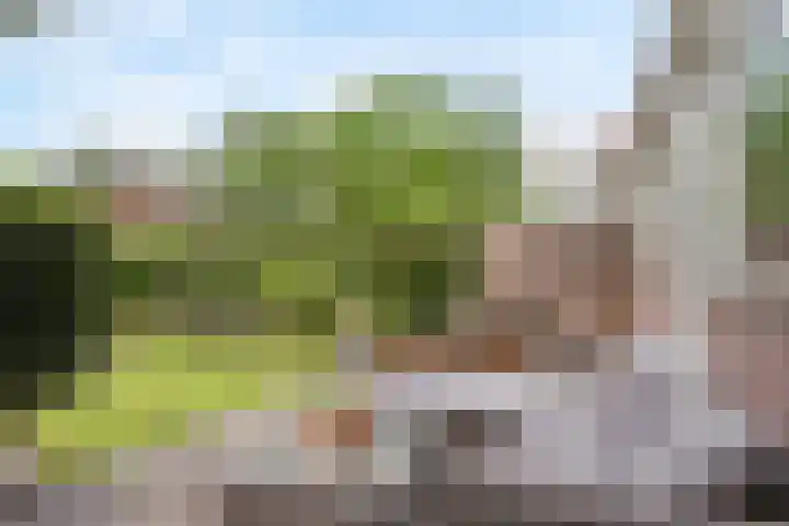 Wickenburglaan 18 Utrecht thumbnail 34