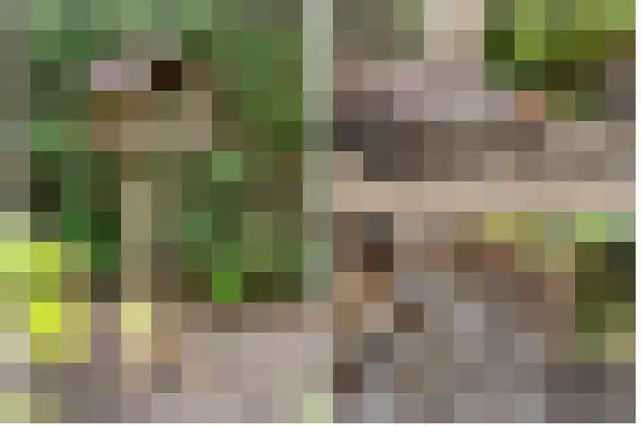 Wickenburglaan 18 Utrecht thumbnail 35