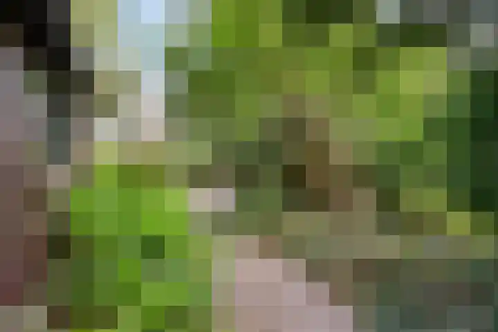 Wickenburglaan 18 Utrecht thumbnail 37