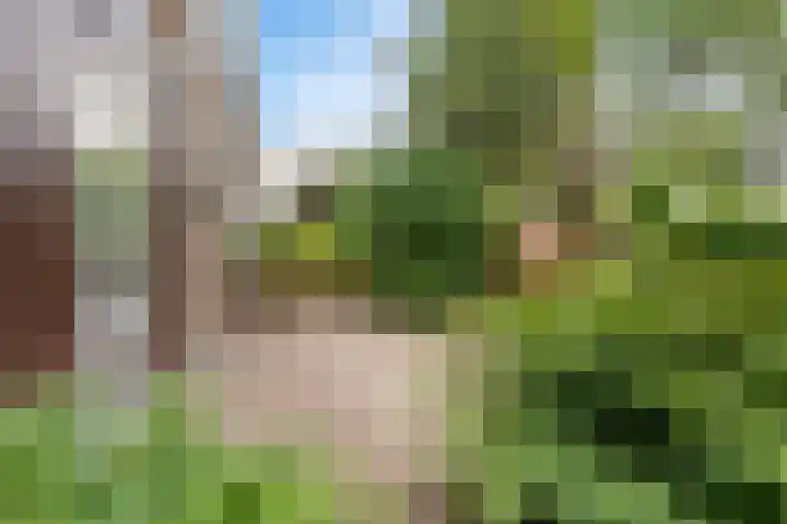 Wickenburglaan 18 Utrecht thumbnail 38