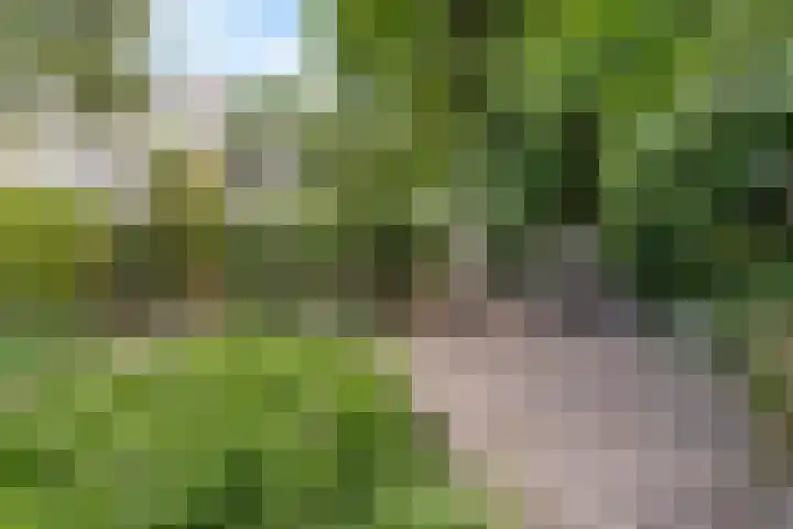 Wickenburglaan 18 Utrecht thumbnail 39
