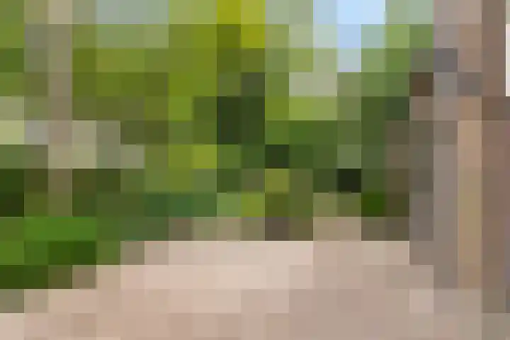 Wickenburglaan 18 Utrecht thumbnail 40