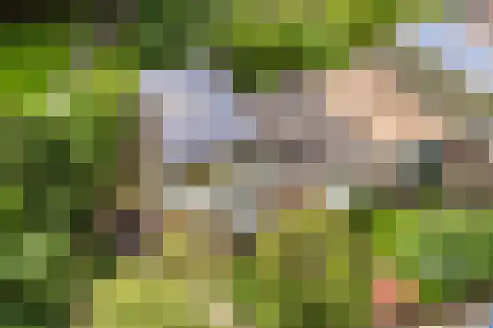 Wickenburglaan 18 Utrecht thumbnail 42