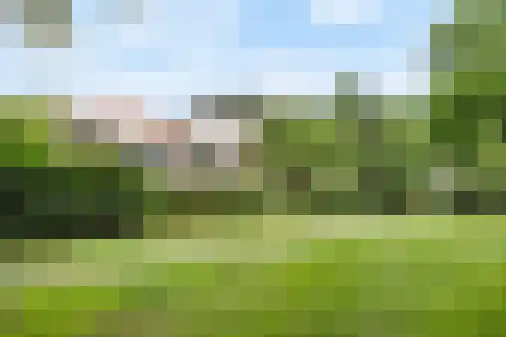Wickenburglaan 18 Utrecht thumbnail 43